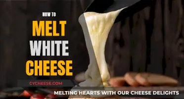 Melting White Cheese: A Quick Guide