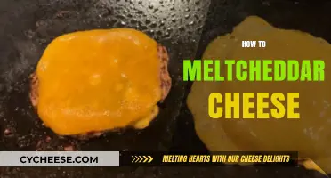 Mastering the Art of Melting Cheddar Cheese: Tips and Techniques