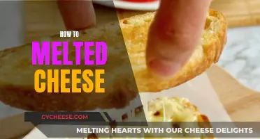 Melted Cheese: The Art of Getting it Right