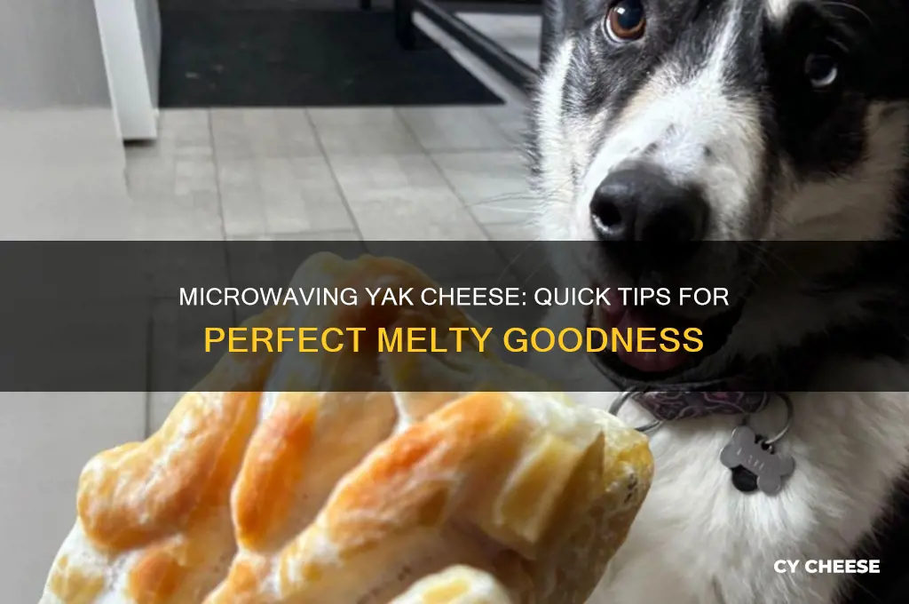 how to microwave yak cheese