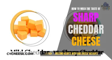 Tame the Tangy: Tips to Mild Sharp Cheddar Cheese