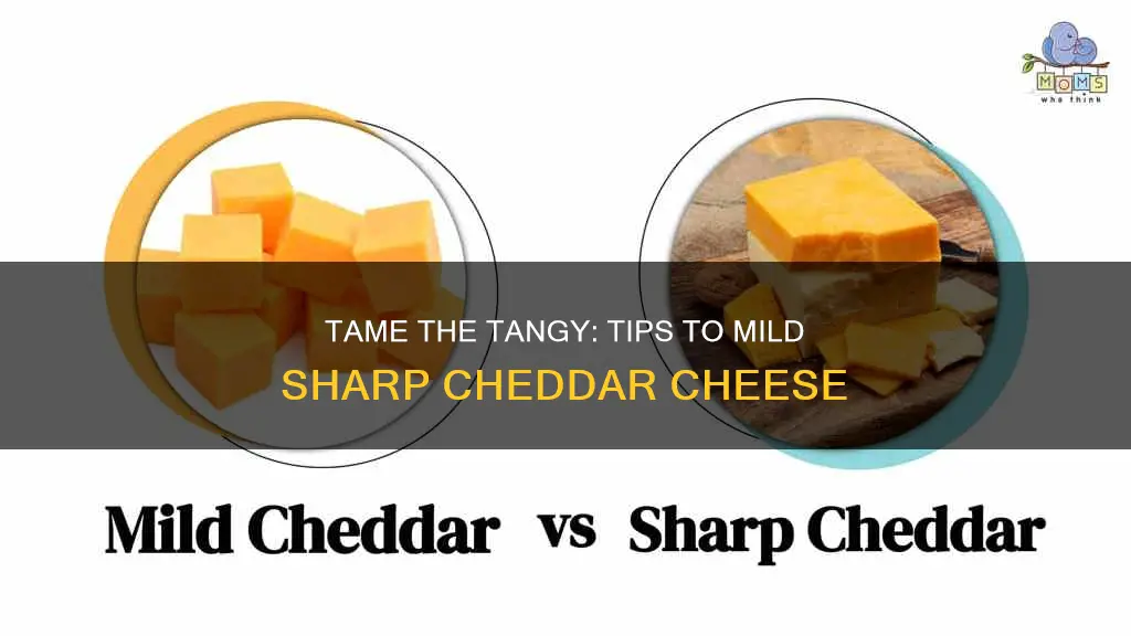 how to mild the taste of sharp cheddar cheese