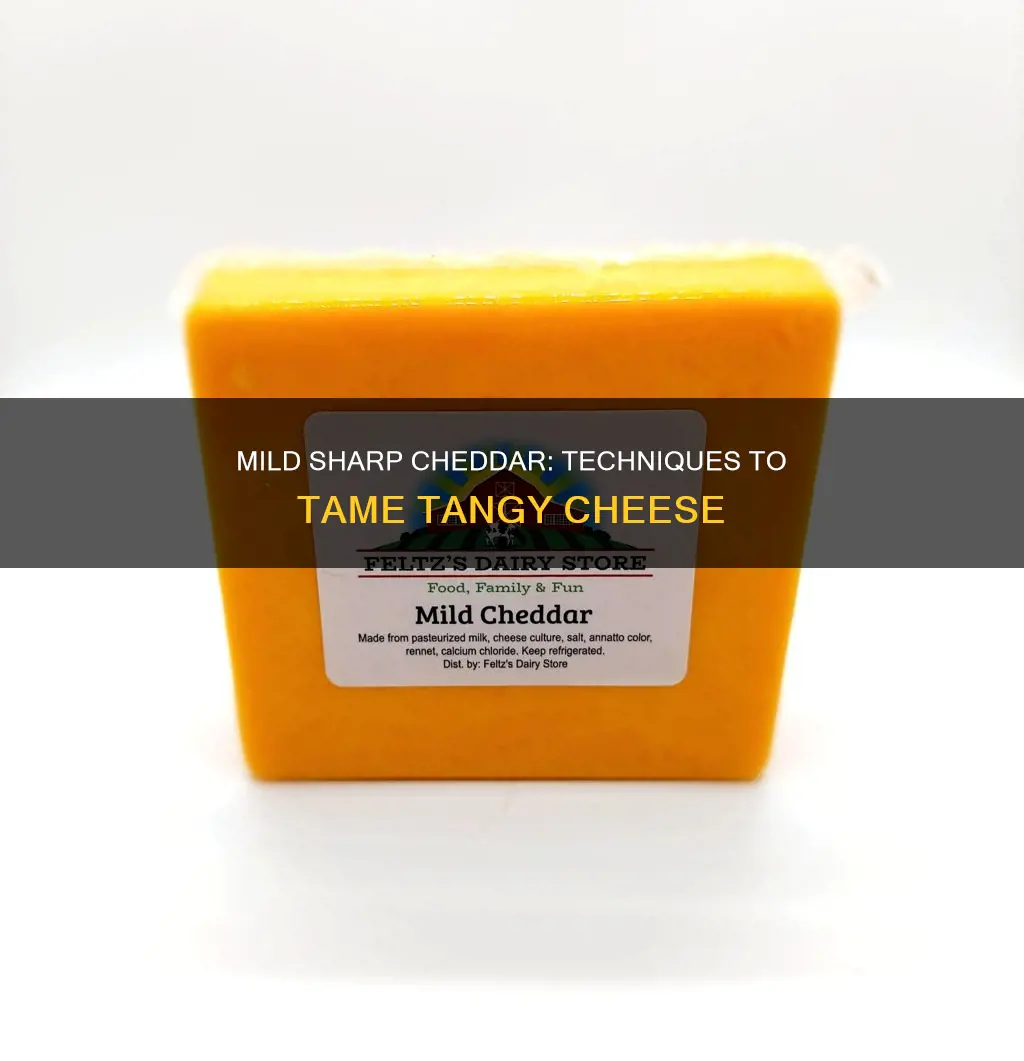 how to mild the taste of sharp cheddar cheese