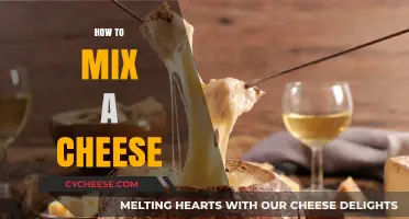 Mastering the Art of Cheese Blending: Tips for Perfect Mixes