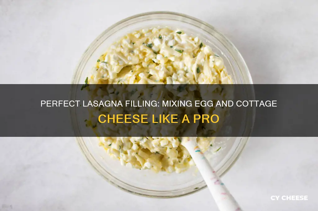 how to mix egg with cottage cheese fir lasagna