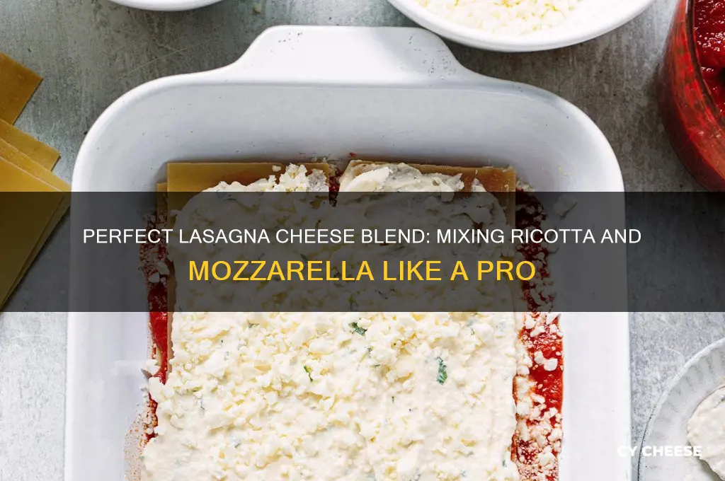 how to mix ricotta cheese mozarella for lasaagne