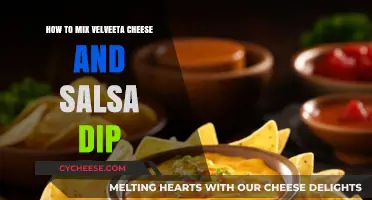 Creamy Velveeta Salsa Dip: Easy Mixing Tips for Perfect Flavor