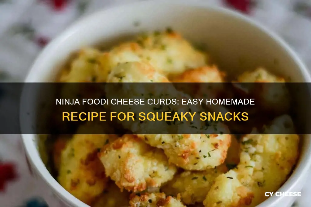 how to mke cheese curds in ninjs foodi