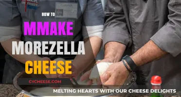 Mastering Mozzarella: Simple Steps to Homemade Stretchy Cheese Perfection