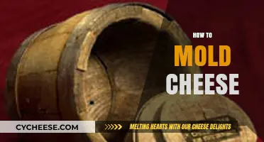 Mastering the Art of Molding Cheese: Techniques for Perfect Shapes