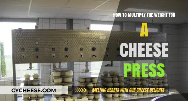 Mastering Cheese Press Weight: Simple Steps to Multiply Pressure Effectively