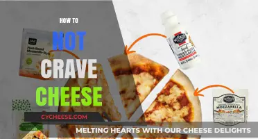 Conquer Cheese Cravings: Strategies for a Dairy-Free Lifestyle