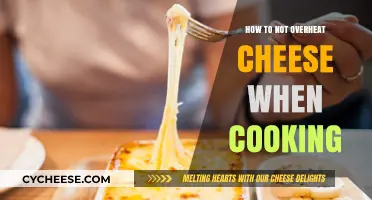 The Art of Melting Cheese: Avoiding Overheating