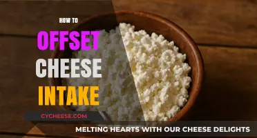 Balancing Cheese Cravings: Smart Strategies to Offset Your Intake