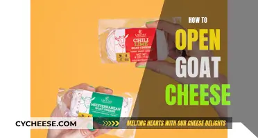 Goat Cheese 101: Unwrapping the Creamy Delight