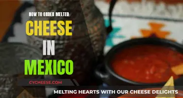 Melted Cheese in Mexico: Ordering the Perfect Dish