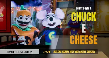 The Ultimate Guide to Owning a Chuck E. Cheese