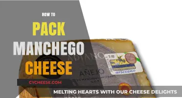 Mastering Manchego: Expert Tips for Packing Spain's Iconic Cheese