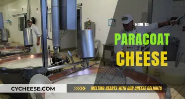 Mastering the Art of Paracoating Cheese: A Step-by-Step Guide