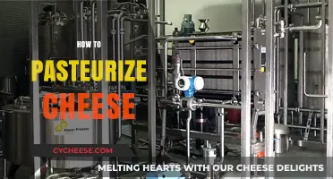Mastering Cheese Pasteurization: A Step-by-Step Guide for Home Artisans