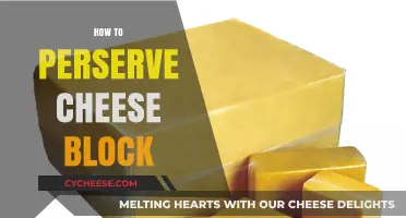 Mastering Cheese Preservation: Tips to Keep Your Block Fresh Longer
