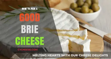 Selecting the Perfect Brie: A Guide