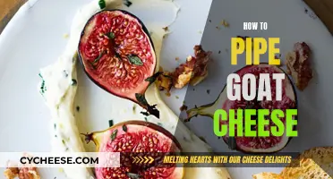 Goat Cheese Piping: Techniques for the Perfect Presentation