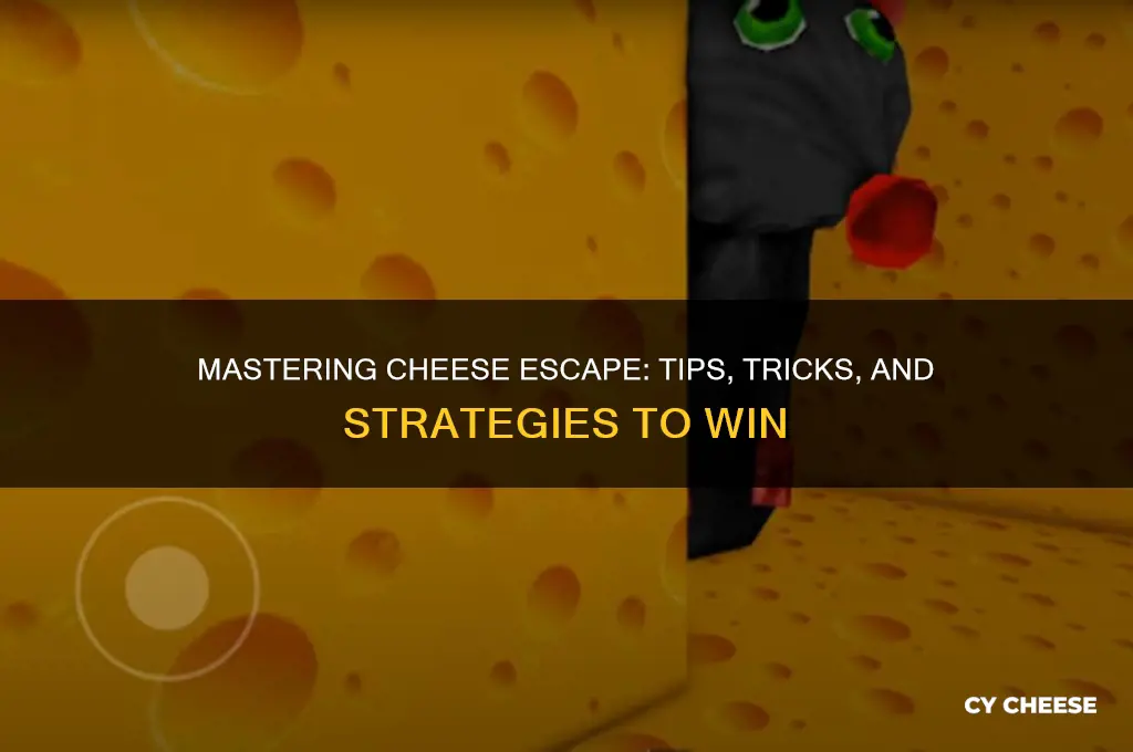 how to play cheese escape
