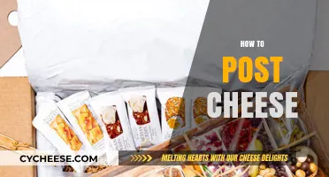 Mastering the Art of Posting Cheese: Tips for Perfect Sharing