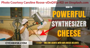 Mastering the Art of Synthesizing Cheese: A Powerful Guide