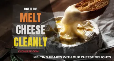 The Clean Melt: Pre-Melting Cheese the Right Way