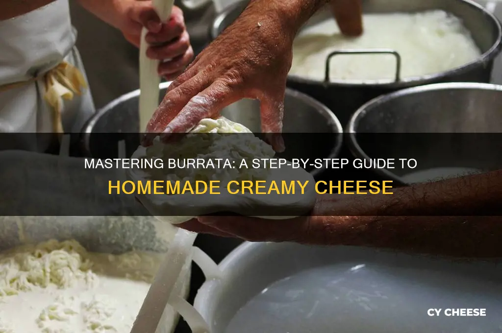 how to prepare burrata cheese