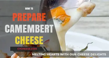 Mastering the Art of Preparing Creamy Camembert Cheese at Home