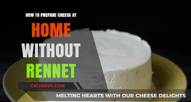 Homemade Cheese Without Rennet: Simple Steps for Creamy Results