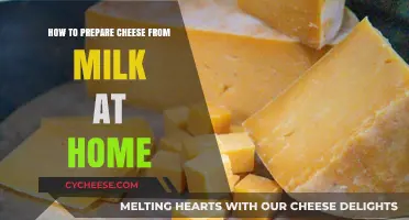 Homemade Cheese Making: Simple Steps to Transform Milk into Delicious Cheese