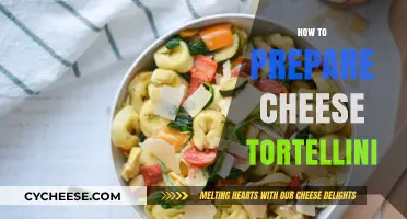 Mastering Cheese Tortellini: Simple Steps for Perfect Homemade Pasta Delight