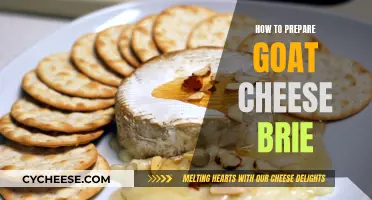 Master the Art of Goat Brie: Tips for Delicious Homemade Cheese