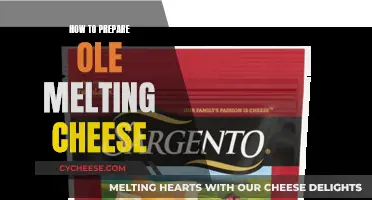 Ultimate Guide: Preparing Ole Melting Cheese