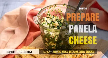 Mastering Panela Cheese: Simple Steps for Perfect Preparation at Home
