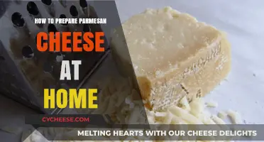 The Art of Homemade Parmesan Cheese