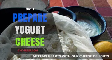 Easy Homemade Yogurt Cheese Recipe: A Simple Step-by-Step Guide