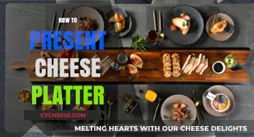 Mastering the Art of Presenting a Perfect Cheese Platter
