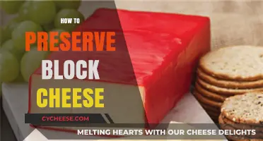 Effective Tips for Preserving Block Cheese Freshness and Flavor Longer