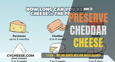 Cheddar Cheese Preservation: Tips for Long-Lasting Flavor