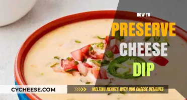 Mastering Cheese Dip Storage: Tips to Keep It Fresh and Tasty