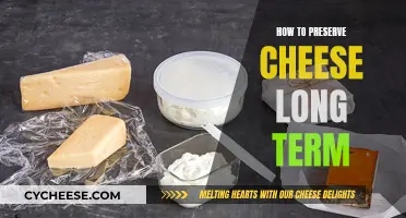 Cheese Preservation: Long-Term Storage Techniques and Tips