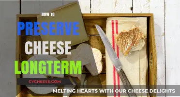 Mastering Cheese Storage: Long-Term Preservation Tips for Freshness