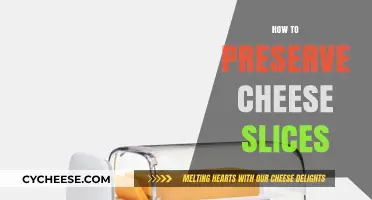 Mastering Cheese Storage: Tips to Keep Slices Fresh and Flavorful