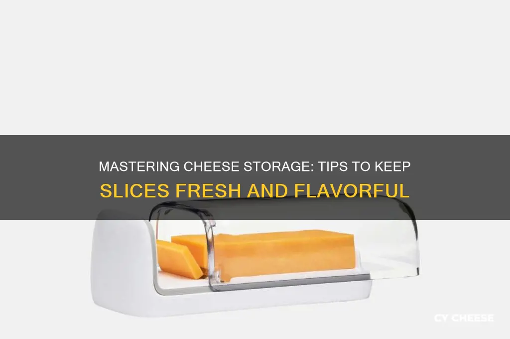 how to preserve cheese slices