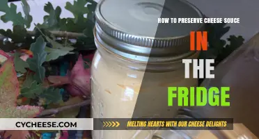 Easy Tips for Keeping Cheese Sauce Fresh in the Fridge